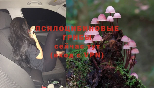 МДМА Волосово