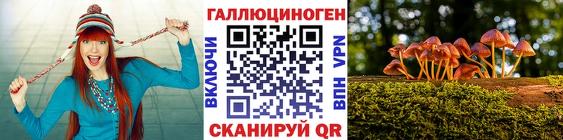 Псилоцибиновые грибы мицелий  Балашиха 